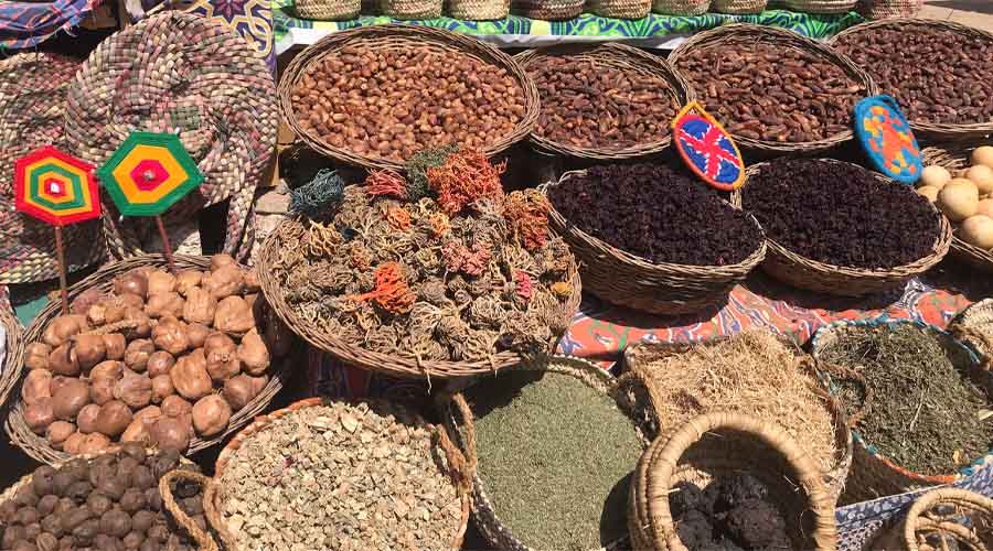 7 Nächte Luxus Nilkreuzfahrt und 7 Nächte Mövenpick El Gouna