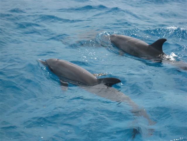 3 Tage Kairo, 7 Tage Nilkreuzfahrt und 4 Tage Badeurlaub