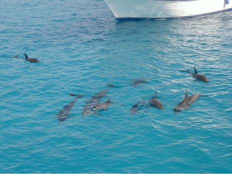 Schnorcheltour von Safaga Hafen