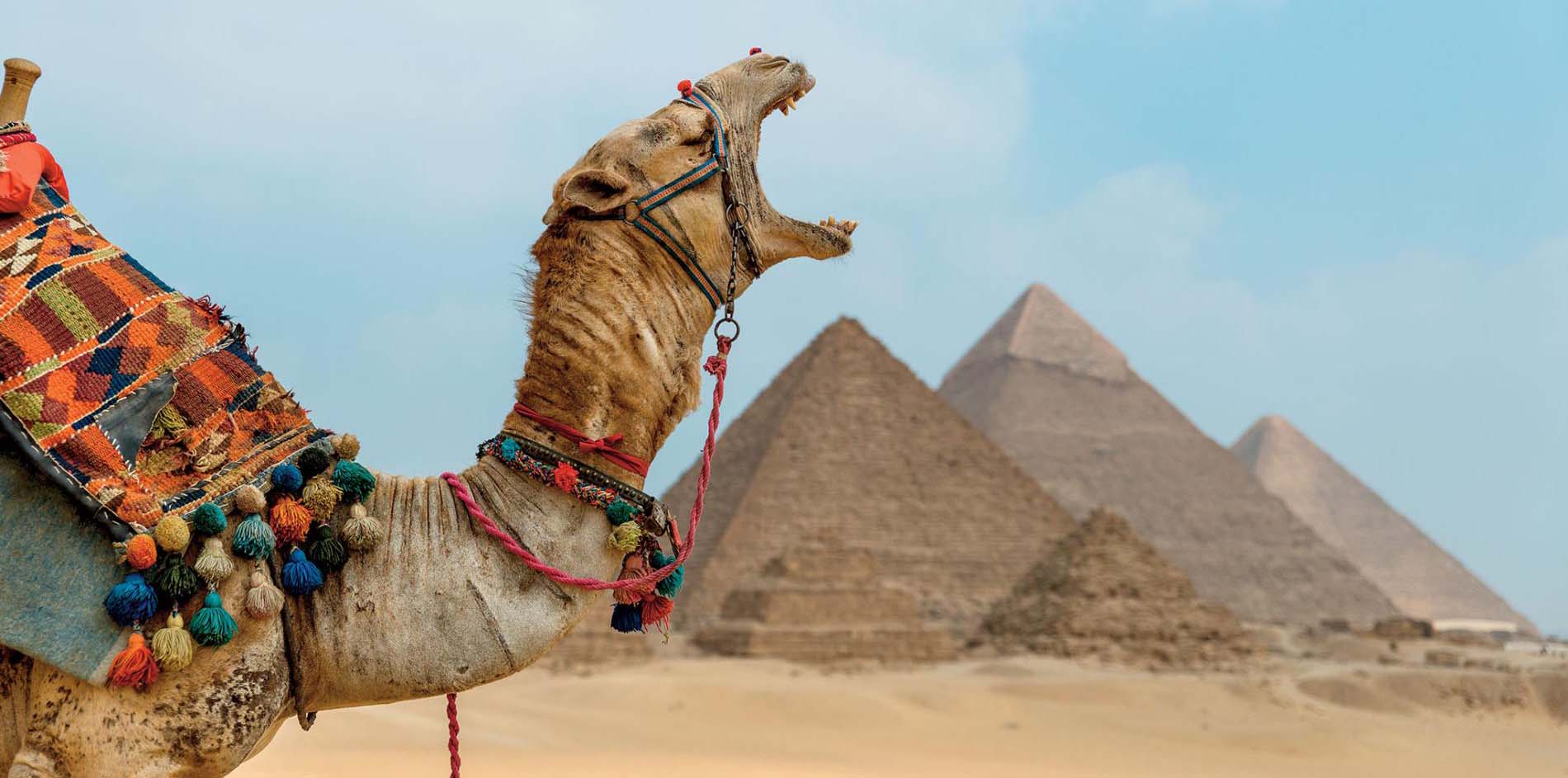 9 Tage Kairo, Nilkreuzfahrt und Badeurlaub